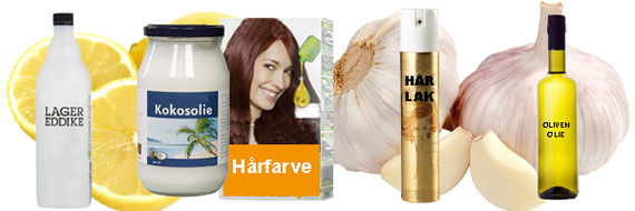 Der findes mange forskellige råd til hjemmelavede lusekure fx hvidløg, kokosolie, hårfarve, tea tree oil Der findes mange forskellige råd til hjemmelavede lusekure fx hvidløg, kokosolie, hårfarve, tea tree oil