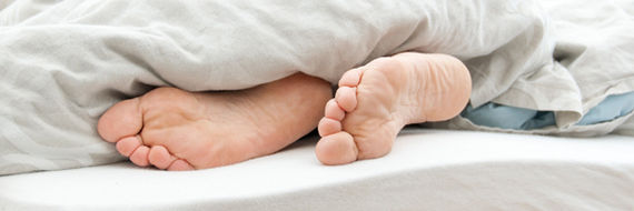 Lus i sengetøjet kan ikke overleve længere end 48 timer uden menneskeblod